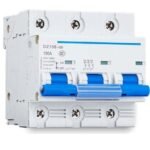 DZ158-125 3P 100A 10KA. INT. TERMOMAGNETICO