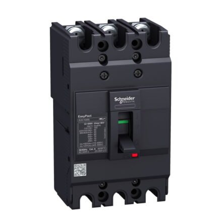 EZC100N3080. EZC100N INT. CAJA MOLDEADA EASYPACT