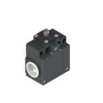 FZ 501. FINAL DE CARRERA EMBOLO TIPO PIN