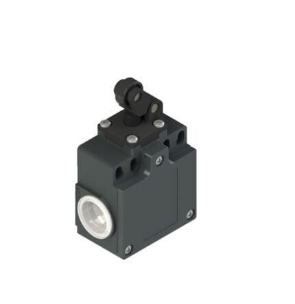 FZ 502. FINAL DE CARRERA PALANCA